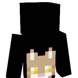 firedragons45 Minecraft avatar bust