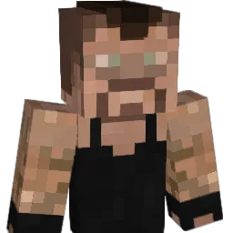 fireninja999 Minecraft avatar bust