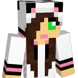 firestorm89 Minecraft avatar bust