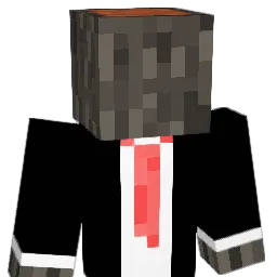 firu_je Minecraft avatar bust