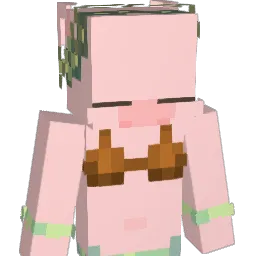 fish0223 Minecraft avatar bust