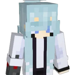 fish19356 Minecraft avatar bust