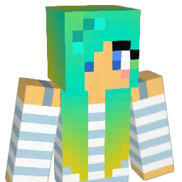 fishcat89 Minecraft avatar bust