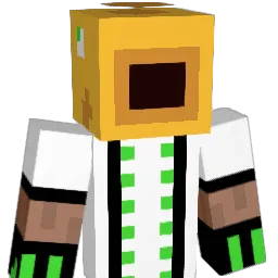 fishhead1234 Minecraft avatar bust