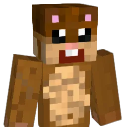 fishye_ Minecraft avatar bust