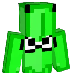 fiumes326 Minecraft avatar bust
