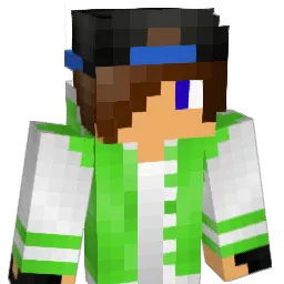 fixusxd Minecraft avatar bust