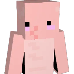 fizzgig66 Minecraft avatar bust