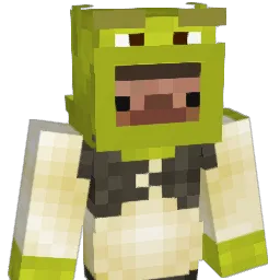 fjornshman51 Minecraft avatar bust