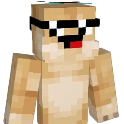 fjr012 Minecraft avatar bust