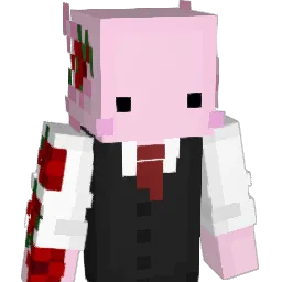 fjrmister