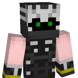 fjt1124 Minecraft avatar bust