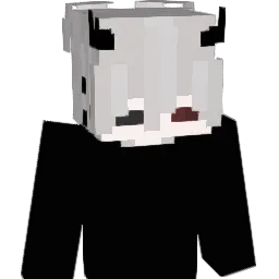 fjvd's Minecraft skin