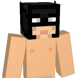 fla2007's Minecraft skin