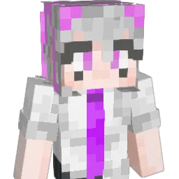 flajtik's Minecraft skin
