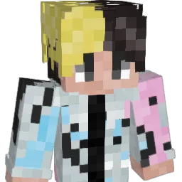 flapjack11 Minecraft avatar bust