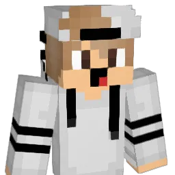 flash_futurista Minecraft avatar bust