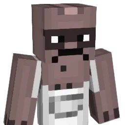 flatire23 Minecraft avatar bust