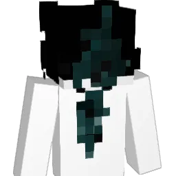 flawers_ Minecraft avatar bust