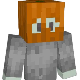 flax_ Minecraft avatar bust
