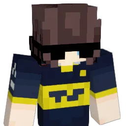 flechitopro3's Minecraft skin