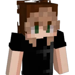 fleecefaint Minecraft avatar bust
