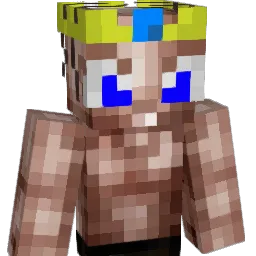 flesje9water Minecraft avatar bust
