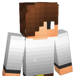 fletch2002 Minecraft avatar bust