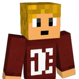 flido11 Minecraft avatar bust