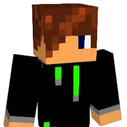 flipfanta's Minecraft skin