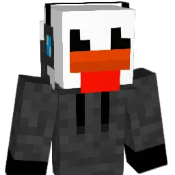 flipper493 Minecraft avatar bust