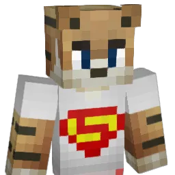 flipster64 Minecraft avatar bust