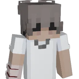 flobo869 Minecraft avatar bust