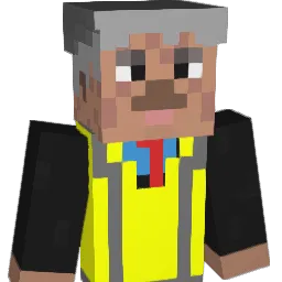 flobot79 Minecraft avatar bust