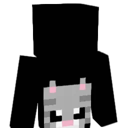 flocky2_0 Minecraft avatar bust