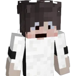 flopner's Minecraft skin