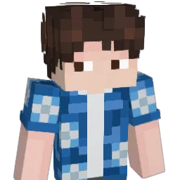 Minecraft-Skin von fluctii