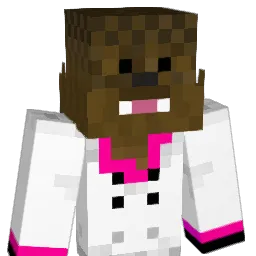 fluffybaccaa Minecraft avatar bust