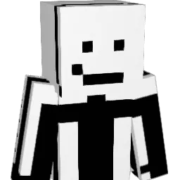 flxsh09 Minecraft avatar bust