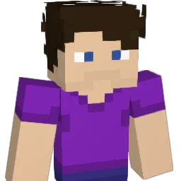 fly_swater00000 Minecraft avatar bust