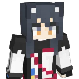 flya223's Minecraft skin