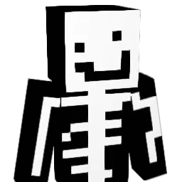 flyflor12456 Minecraft avatar bust