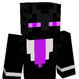 flyguy88 Minecraft avatar bust