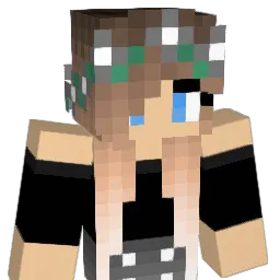 flyingde Minecraft avatar bust