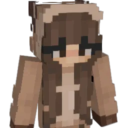flysarafly's Minecraft skin