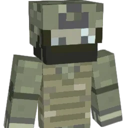 fmn1229 Minecraft avatar bust