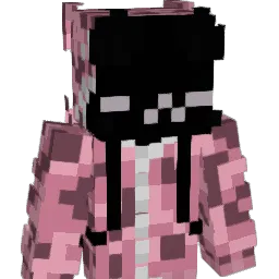 fn__ Minecraft avatar bust
