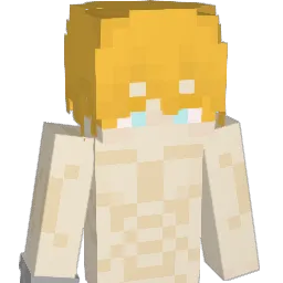 fndz Minecraft avatar bust