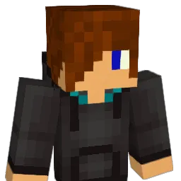 foofighters8908 Minecraft avatar bust