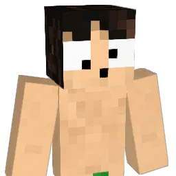 forg1012 Minecraft avatar bust